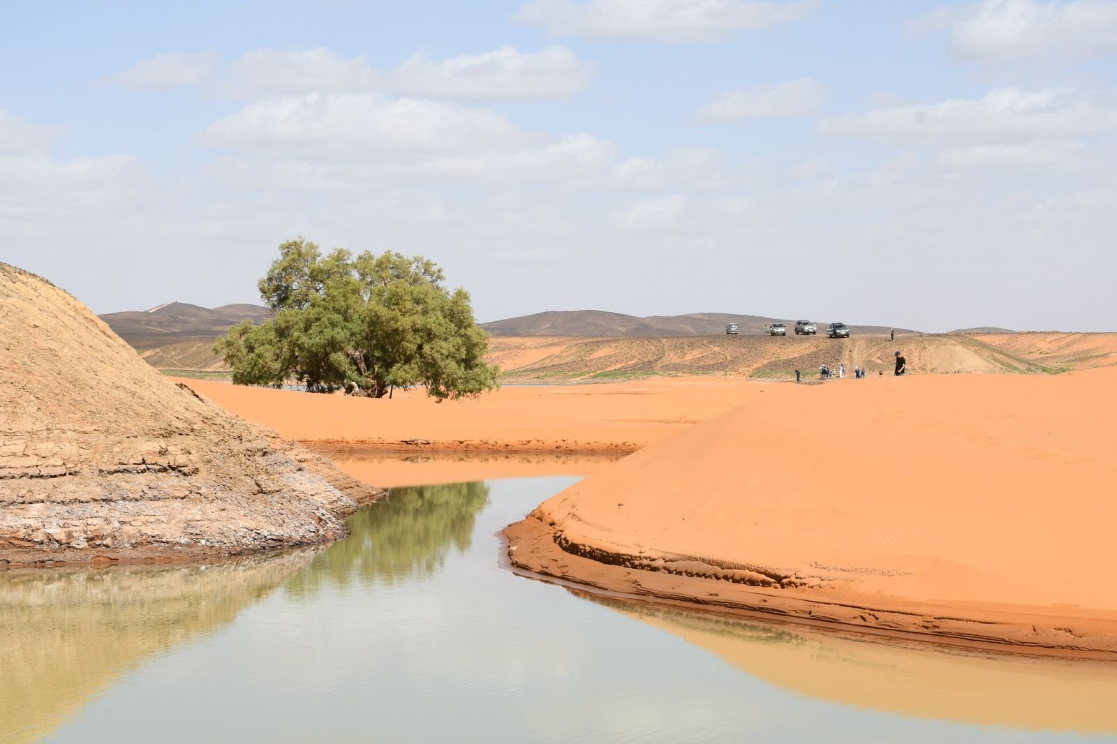 viajero sal desierto (34)